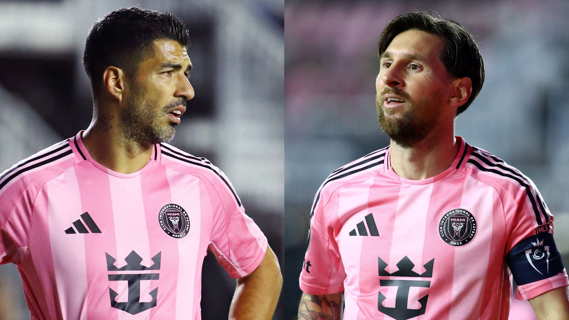 也表明了曼 也表明了曼