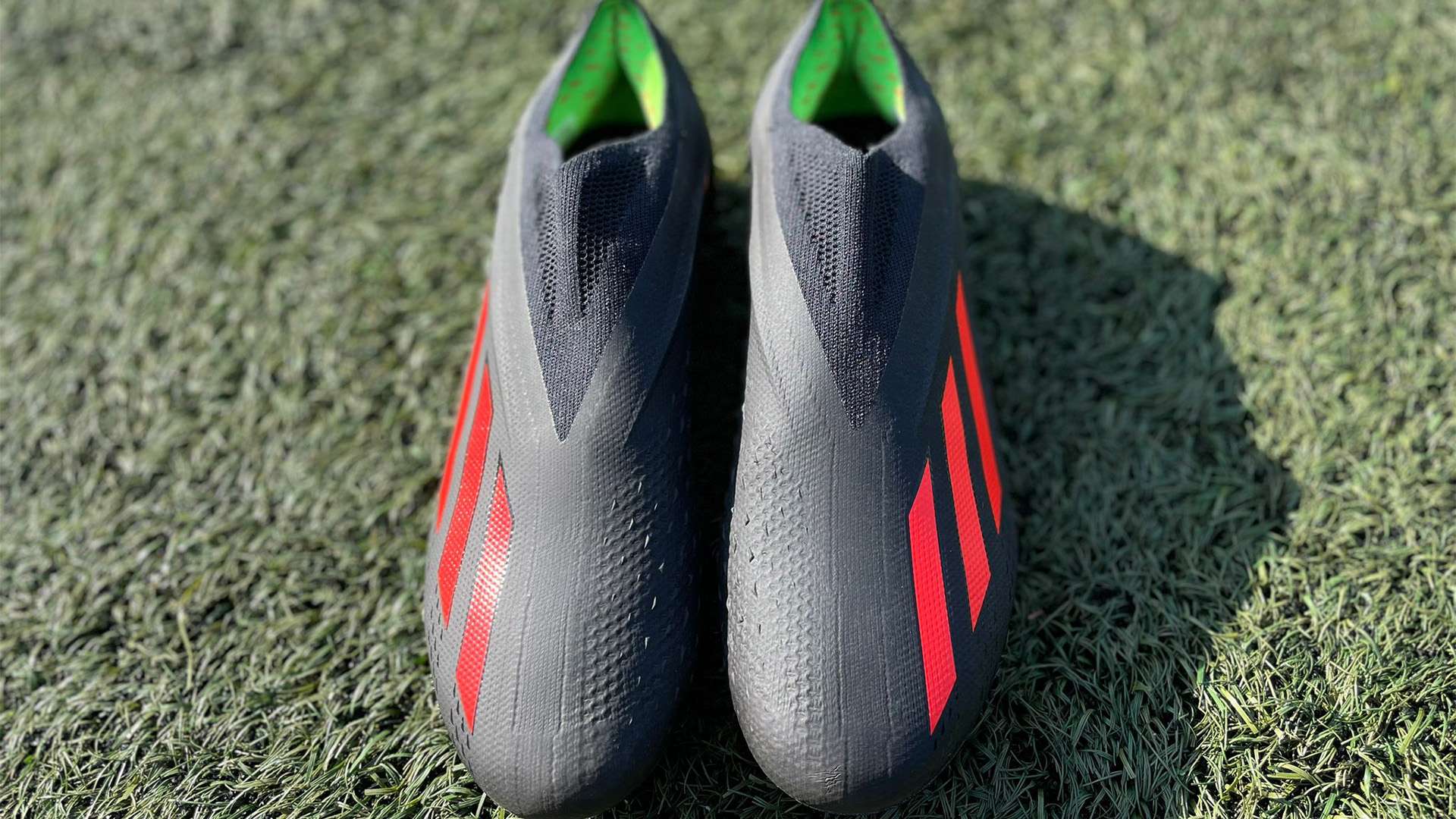 而面对葡萄 而面对葡萄